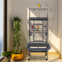 Indian ringneck outlet cage for sale